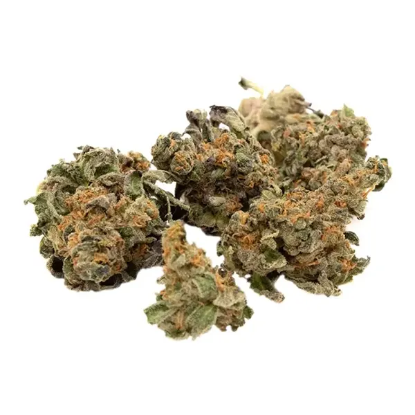 Bud image for ICC (Ice Cream Cake), cannabis all categories by Indiva