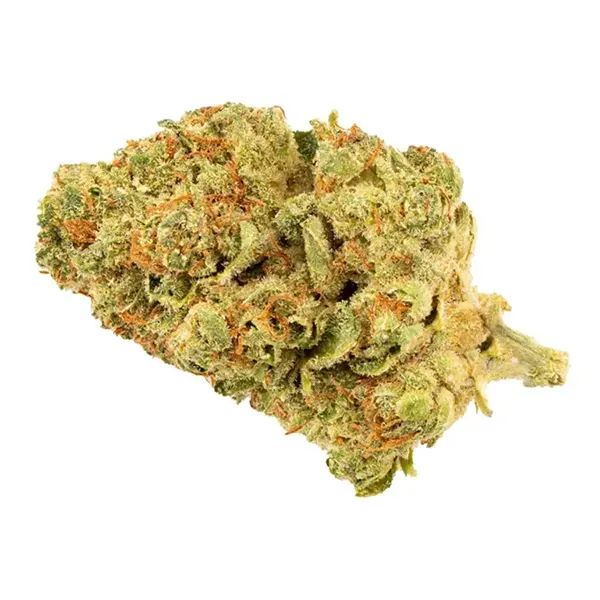 Indica (Dried Flower) by Papa's Herb