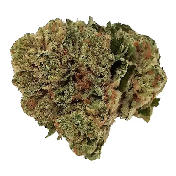 Bud image for Indica Blend, cannabis all categories by Eve & Co