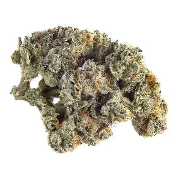 Bud image for Kush Mints, cannabis all flower by Qwest Reserve