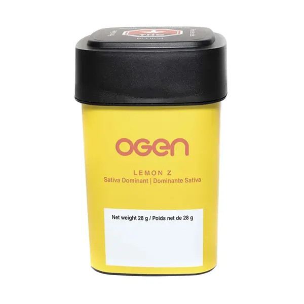 Lemon Z (Dried Flower) by Ogen