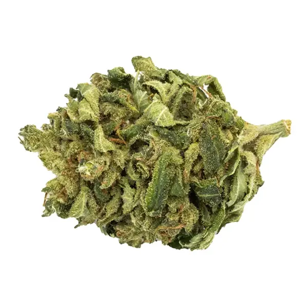 Bud image for Marley Gold, cannabis all categories by Marley Natural