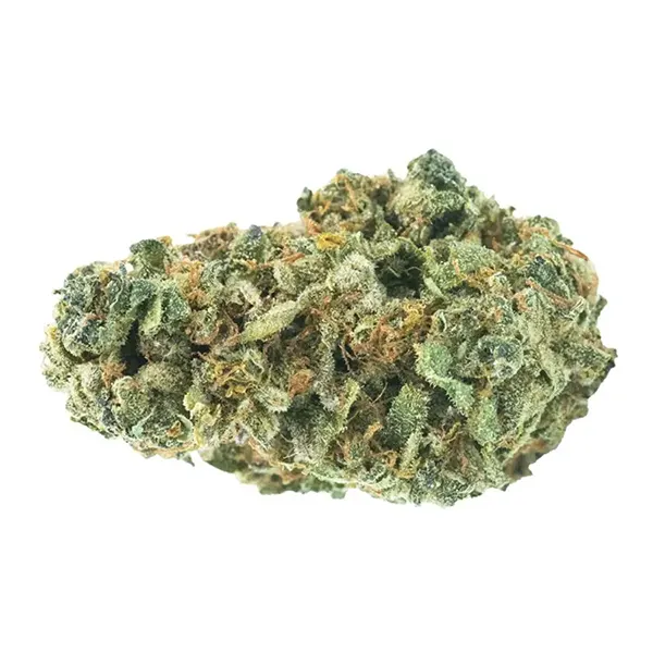 Bud image for No. 425 Midnight Jam, cannabis dried flower by Haven St. Premium Cannabis