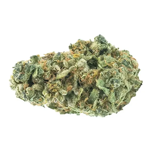 Bud image for No. 425 Midnight Jam, cannabis all categories by Haven St. Premium Cannabis