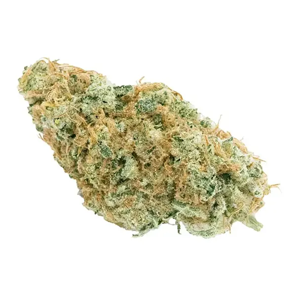 Product image for No. 516 Sonic Express, Cannabis Flower by Haven St. Premium Cannabis