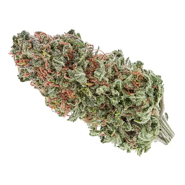 Product image for Organic GG #4, Cannabis Flower by TGOD