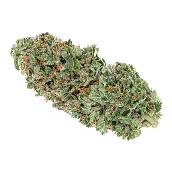 Organic Rockstar Tuna