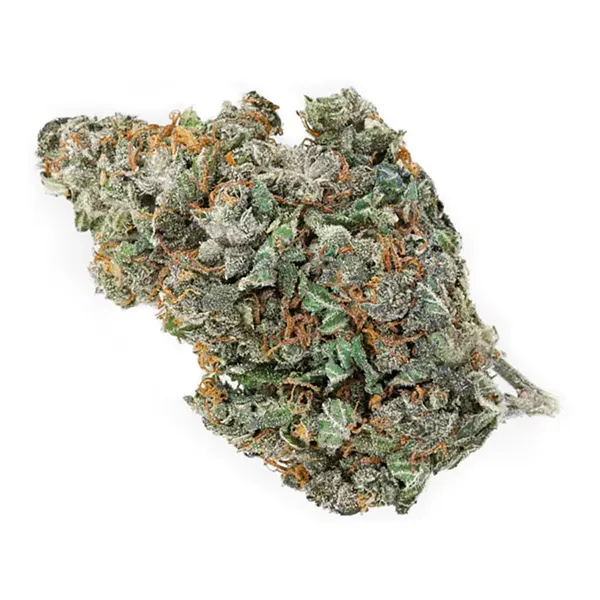 Product image for Organic Skunk Haze, Cannabis Flower by TGOD