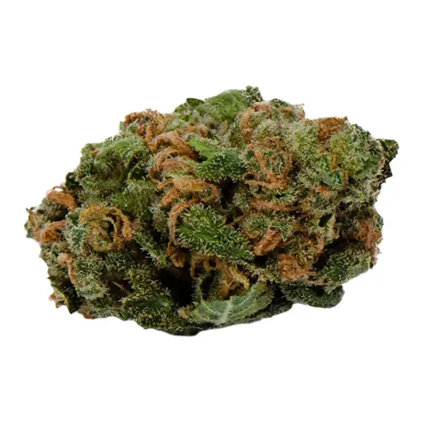 Bud image for OS.Hybrid, cannabis dried flower by Original Stash