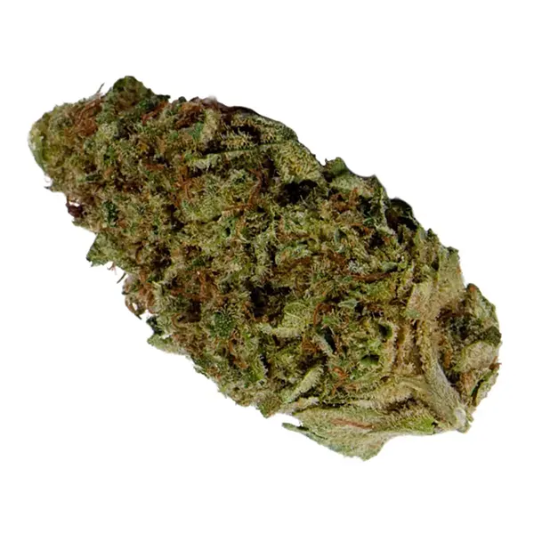 Bud image for OS.Indica, cannabis dried flower by Original Stash