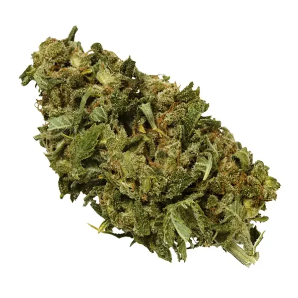 OS.Reserve Sativa (Dried Flower) by Original Stash