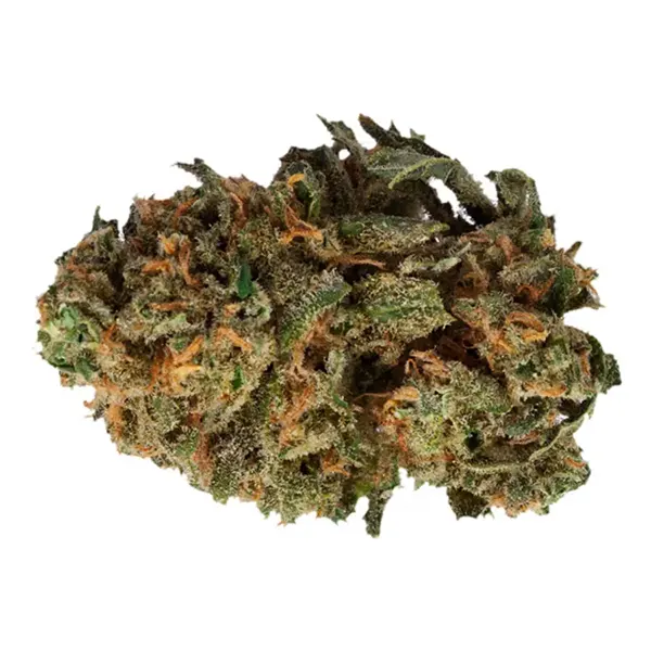 Bud image for OS.Sativa, cannabis dried flower by Original Stash