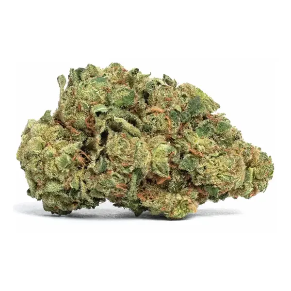 Bud image for Pink Grapefruit Haze, cannabis all categories by SYNR.G