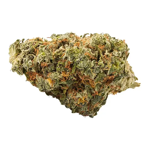 Product image for Purple Clementine, Cannabis Flower by Top Leaf