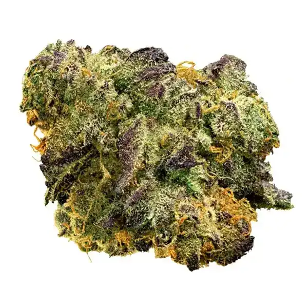 Bud image for Purple Terps, cannabis dried flower by Edison