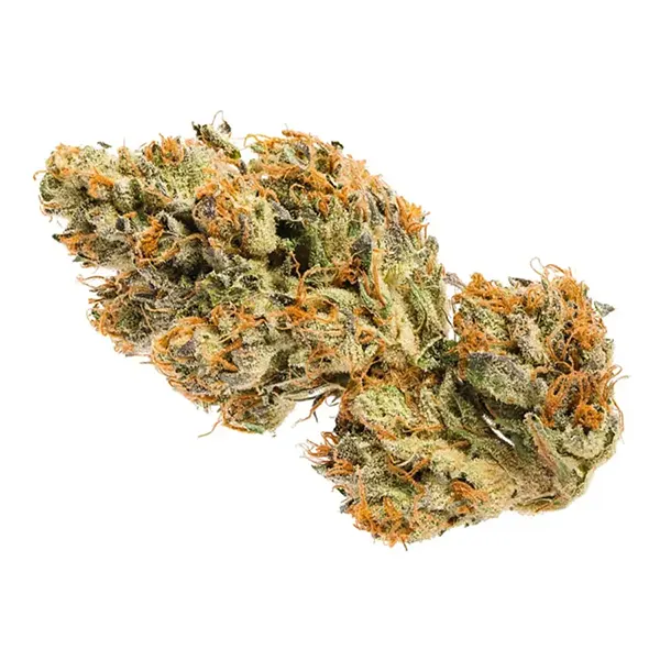 Bud image for Pyramid, cannabis dried flower by Jonny Chronic