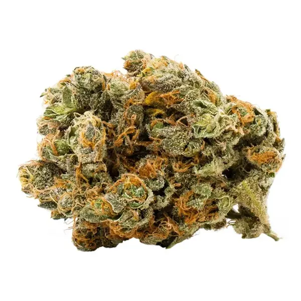 Bud image for RC Royal Goddess, cannabis all categories by Royal City Cannabis Co.