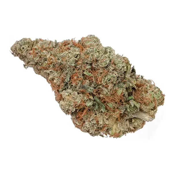 Rotterdam Indica (Dried Flower) by Highly Dutch Organic