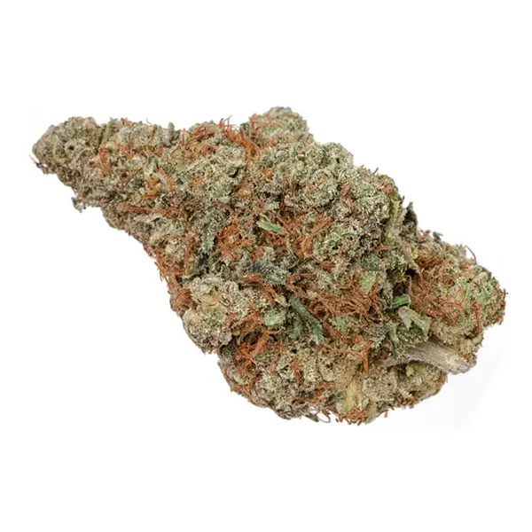 Product image for Rotterdam Indica, Cannabis Flower by Highly Dutch Organic