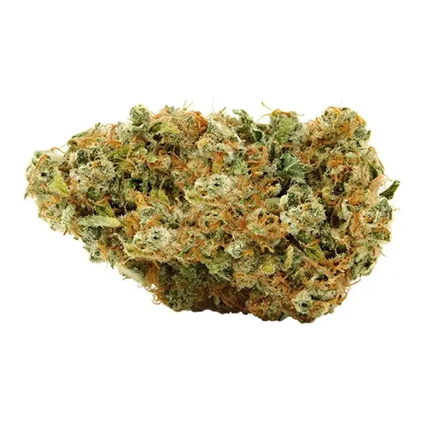 Bud image for Sage N Sour, cannabis dried flower by MTL Cannabis