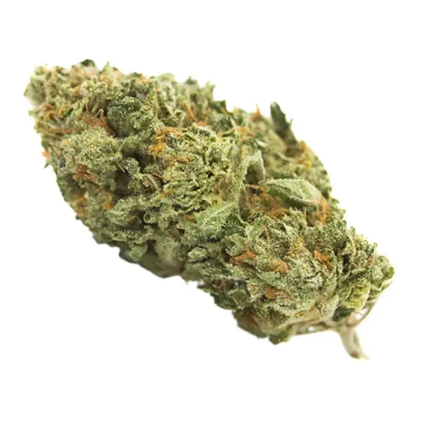 Bud image for San Fernando Valley OG Kush, cannabis dried flower by Indiva