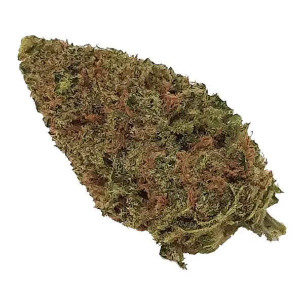 Bud image for Sativa Blend, cannabis all categories by Eve & Co