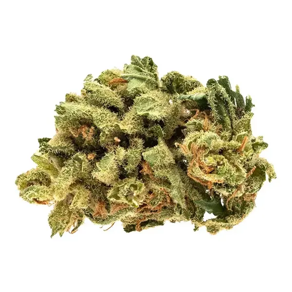 Bud image for Starwalker Kush, cannabis dried flower by Good Supply