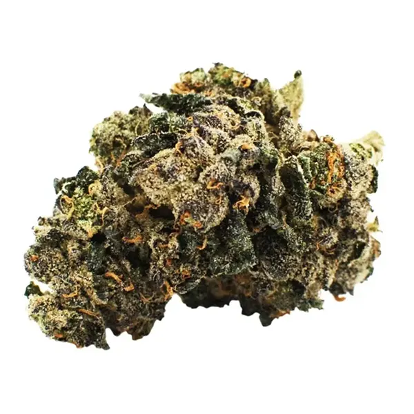 Bud image for Sunset Sherbet, cannabis dried flower by Citizen Stash