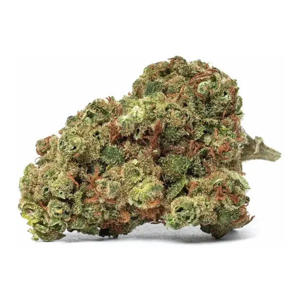 Bud image for Tropical Breeze, cannabis dried flower by SYNR.G