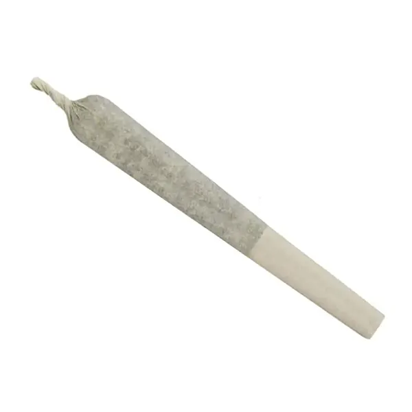 Image for Afghani Drifter Pre-Roll, cannabis all categories by Greybeard
