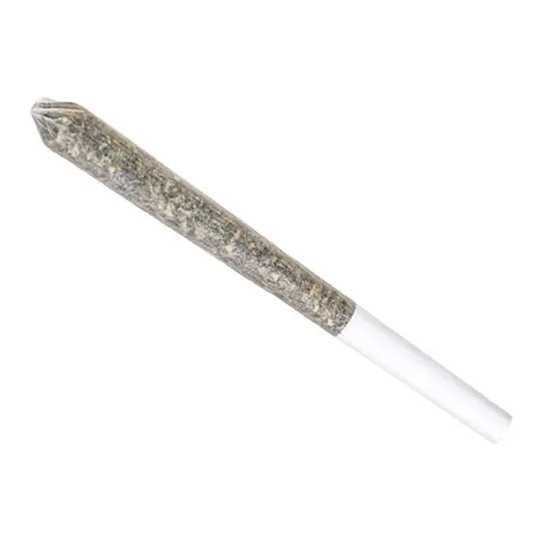 Amnesia Haze Pre..