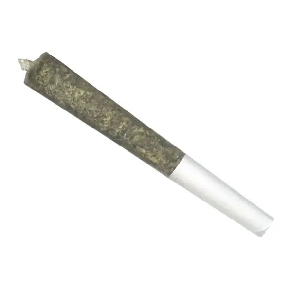 Product image for Balanced Pre-Roll, Cannabis Flower by Treeline