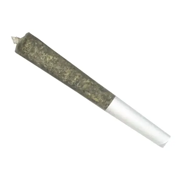 Balanced Pre-Roll (Pre-Rolls) by Treeline