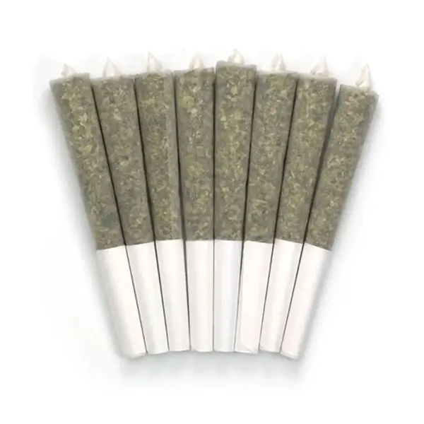 Balanced Pre-Roll (Pre-Rolls) by Treeline