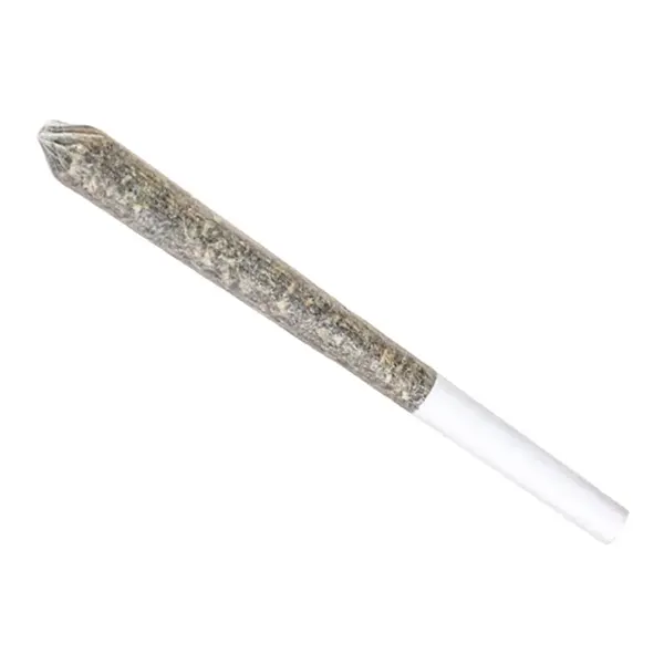 Blue Dream Pre-Roll (Pre-Rolls) by Station House