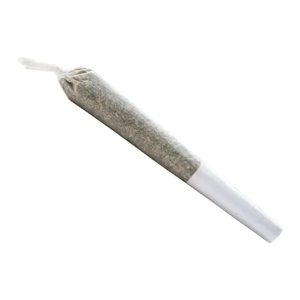 Delahaze Pre-Roll