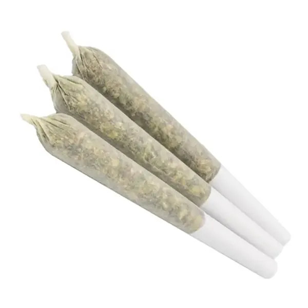 Image for Indica 24 Pre-Roll, cannabis all categories by Canaca