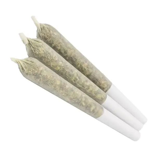 Indica 24 Pre-Roll (Pre-Rolls) by Canaca