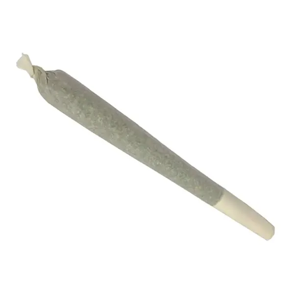 MAC1 Pre-Roll