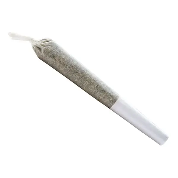 Image for Pink Kush Pre-Roll, cannabis all categories by San Rafael '71