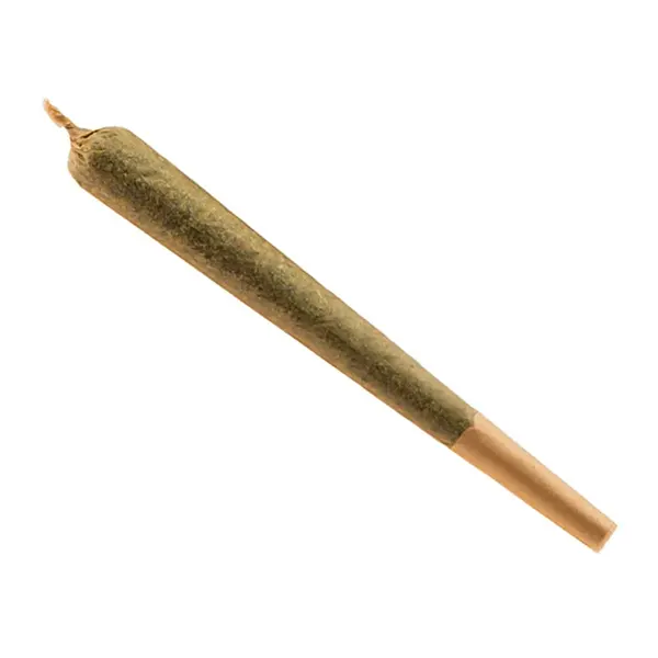 Pink Kush (Savary) Pre-Roll