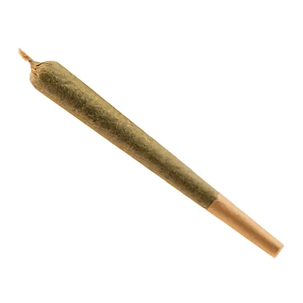 Image for Sonora Pre-Roll, cannabis all categories by Broken Coast
