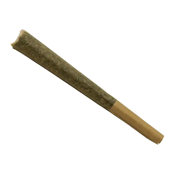 The Lover Pre-Roll