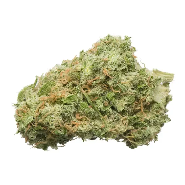 Bud image for 24k Gold, cannabis dried flower by Namaste