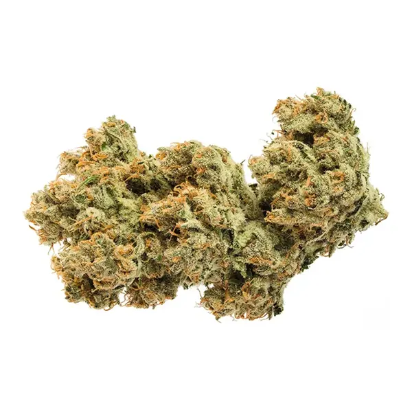 Bud image for Acapulco Gold, cannabis dried flower by Jonny Chronic