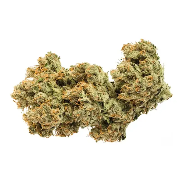 Bud image for Acapulco Gold, cannabis all categories by Jonny Chronic