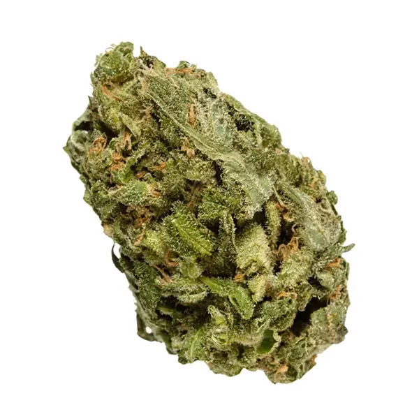 Bud image for All Purpose Flower Sativa, cannabis dried flower by Bake Sale