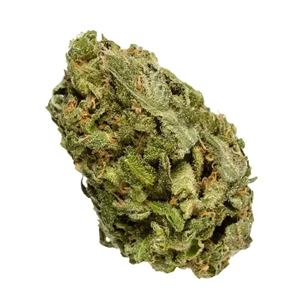 Bud image for All Purpose Flower Sativa, cannabis all categories by Bake Sale