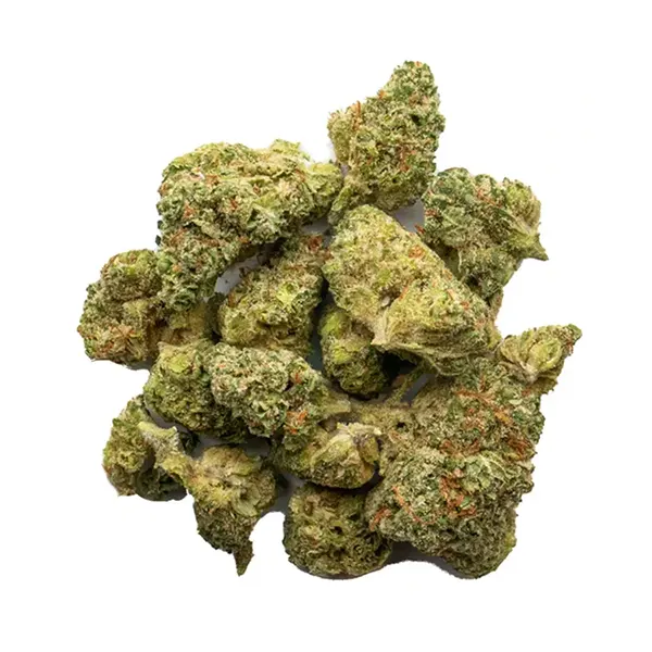 Bud image for B Banner, cannabis  by Bold Growth