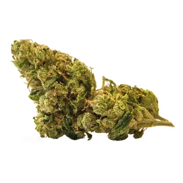 BC God Bud (Dried Flower) by Verse Cannabis